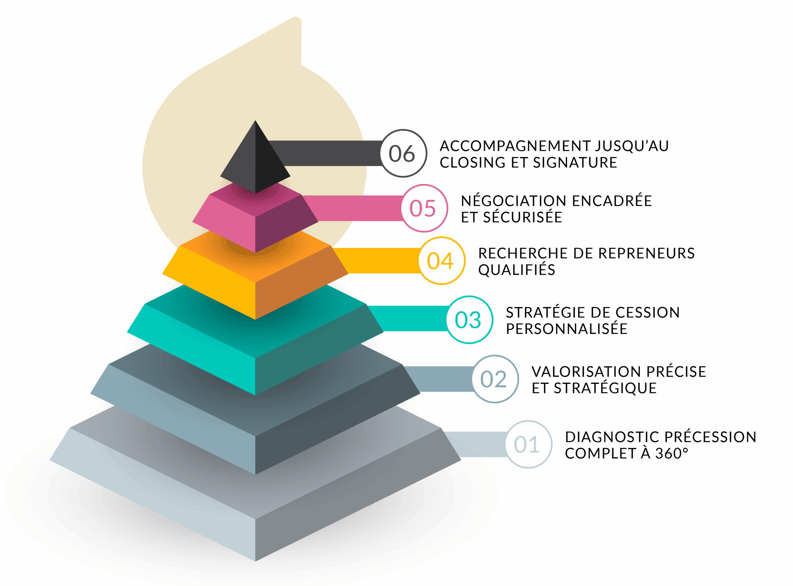 SCHEMA ETAPES CLES ACCOMPAGNEMENT CESSION D'ENTREPRISE