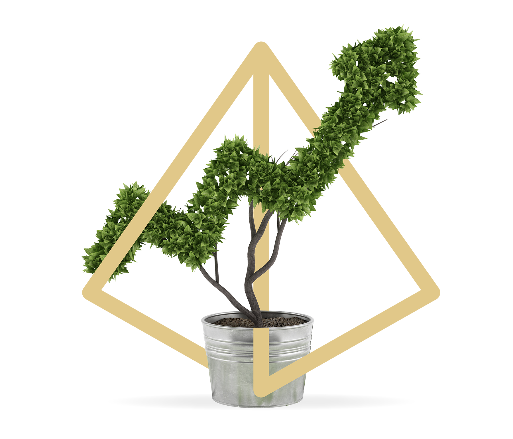 Stratégie de croissance